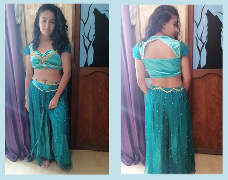 Belly Dance Princess Jasmine Costume Women Girls Bollywood Top Pants Veils Set
