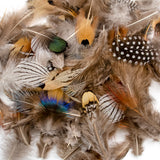 Fifty Mixed Natural Feathers for Crafts, Jewellery Making or Decoration