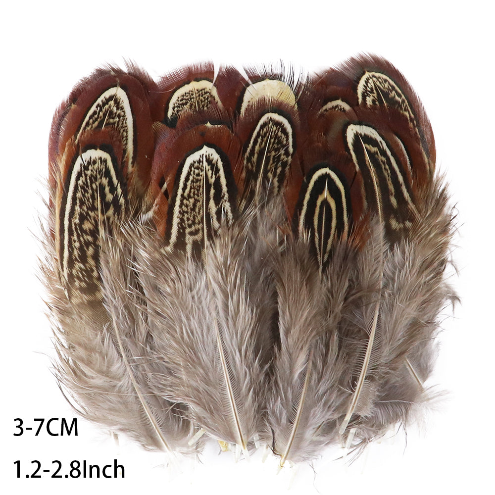 Fifty Mixed Natural Feathers for Crafts, Jewellery Making or Decoration