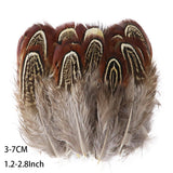 Fifty Mixed Natural Feathers for Crafts, Jewellery Making or Decoration
