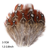 Fifty Mixed Natural Feathers for Crafts, Jewellery Making or Decoration