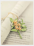 Old English Papers Photo Props Crafting
