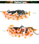Honey Bee LED Fairy Lights Solar Powered