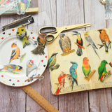 28pcs Tropical Jungle Parrots &  Birds PVC Stickers Scrapbooking Craft