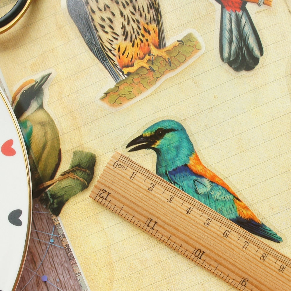 28pcs Tropical Jungle Parrots &  Birds PVC Stickers Scrapbooking Craft