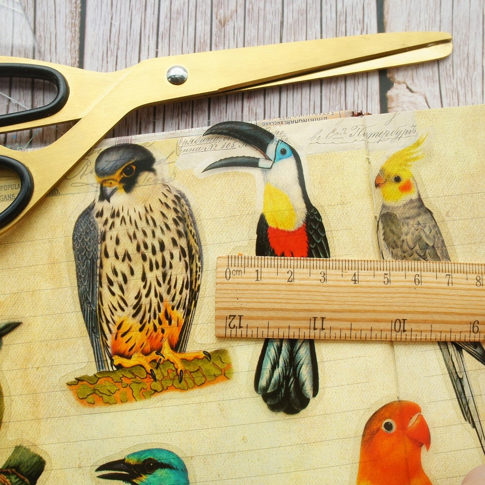 28pcs Tropical Jungle Parrots &  Birds PVC Stickers Scrapbooking Craft