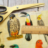 28pcs Tropical Jungle Parrots &  Birds PVC Stickers Scrapbooking Craft