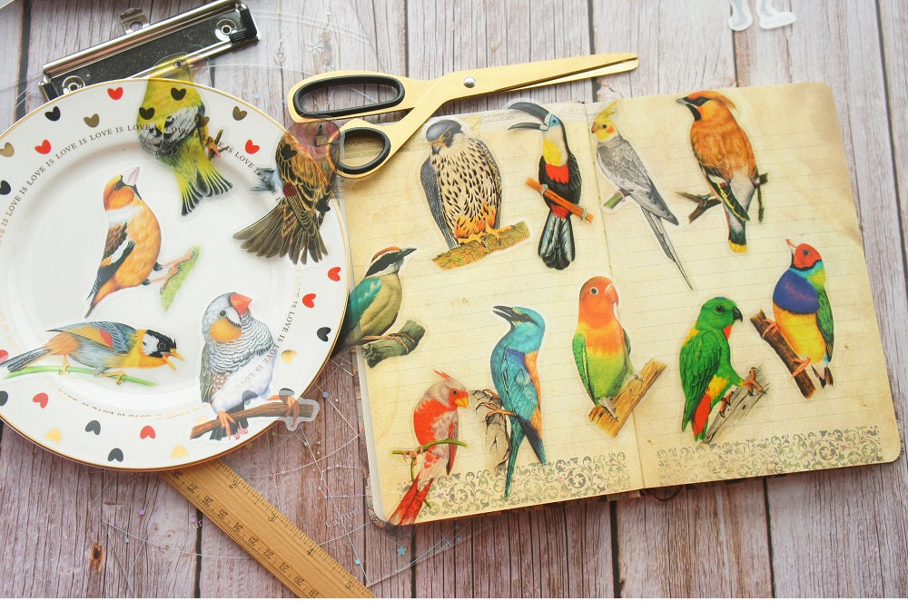 28pcs Tropical Jungle Parrots &  Birds PVC Stickers Scrapbooking Craft
