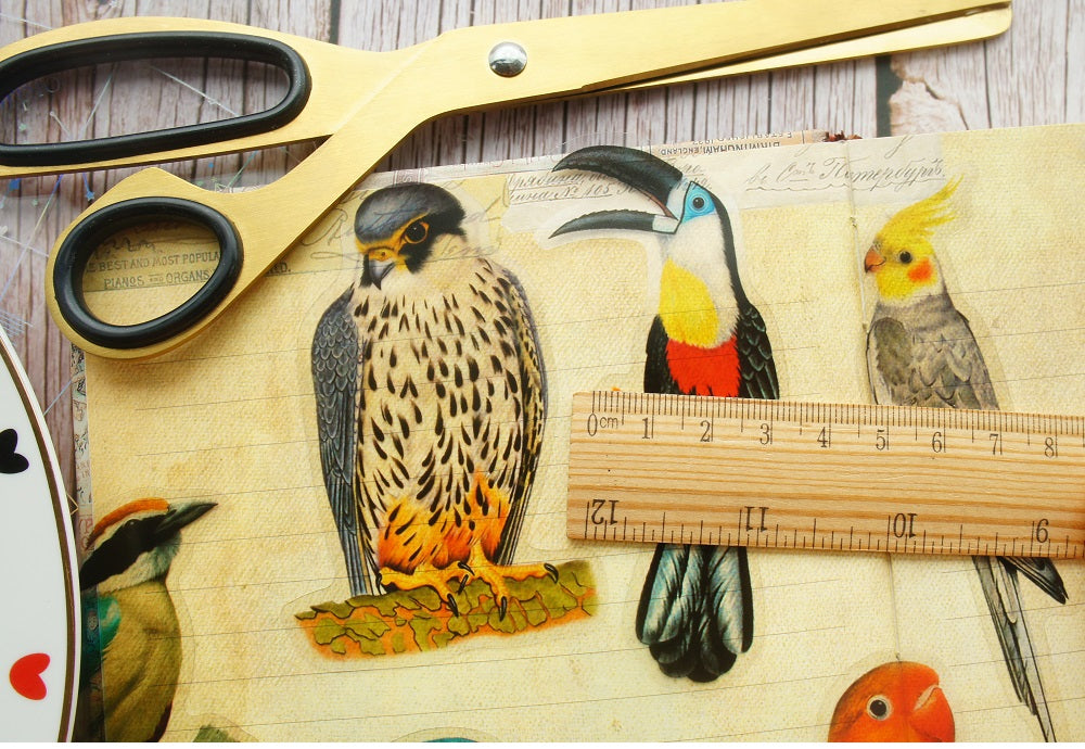 28pcs Tropical Jungle Parrots &  Birds PVC Stickers Scrapbooking Craft