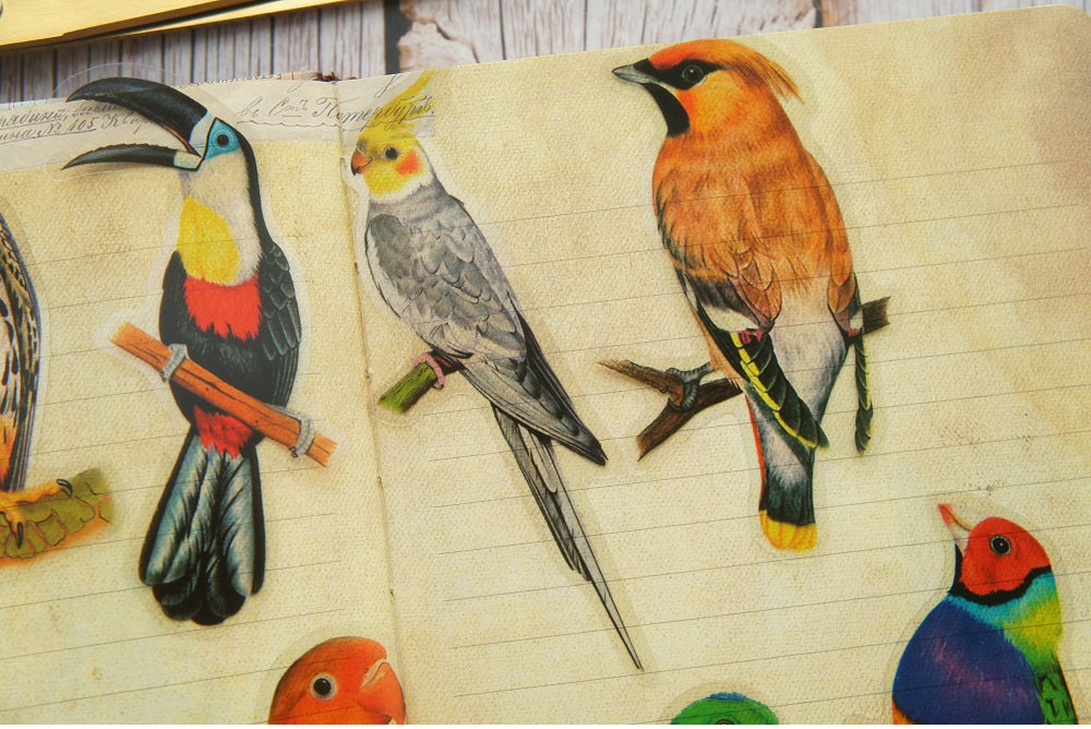 28pcs Tropical Jungle Parrots &  Birds PVC Stickers Scrapbooking Craft