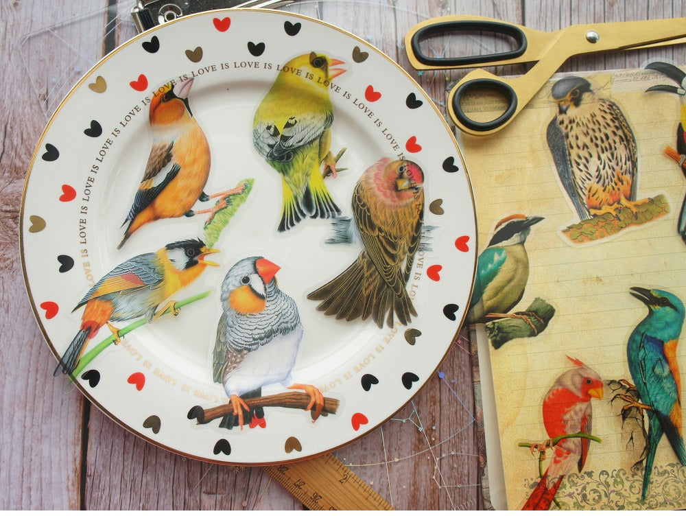 28pcs Tropical Jungle Parrots &  Birds PVC Stickers Scrapbooking Craft
