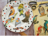 28pcs Tropical Jungle Parrots &  Birds PVC Stickers Scrapbooking Craft