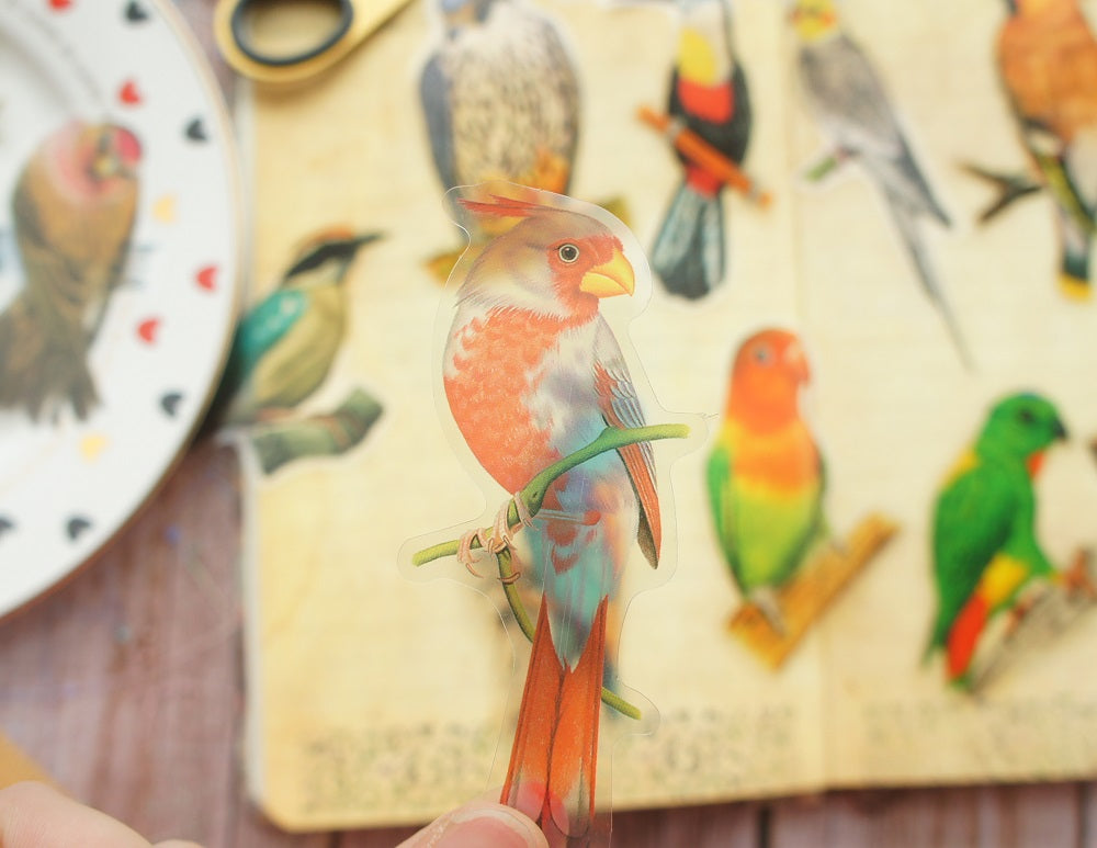 28pcs Tropical Jungle Parrots &  Birds PVC Stickers Scrapbooking Craft