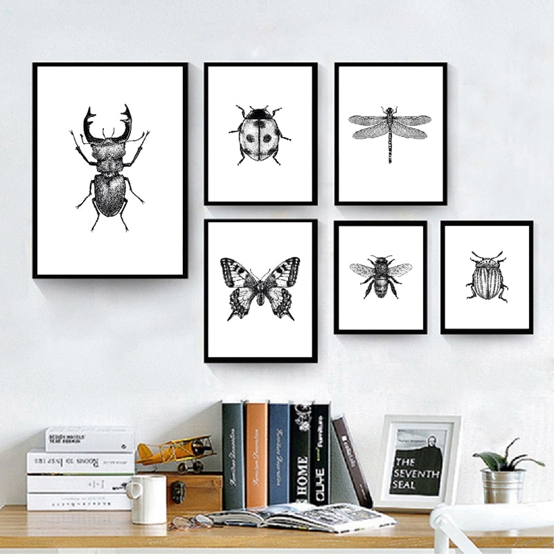 Woodland Animal Room Decor Canvas Wall Art Insects Bugs Illustrations Dragon Fly Bee Beetle Butterfly Black and White Home Decor | Woodland Gatherer | Australian Online Store | Gifts & Treasures | Special Occasions & Everyday Fun | Boho Life | Whimsical Treats | Jewellery | Fashion | Crafting DYI | Stationery | Boho Festival Fashion 