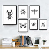 Insect Illustrations | Black And White Wall Art Canvas | Home Decor