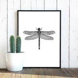 Insect Illustrations | Black And White Wall Art Canvas | Home Decor