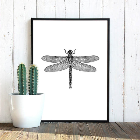 Insect Illustrations | Black And White Wall Art Canvas | Home Decor