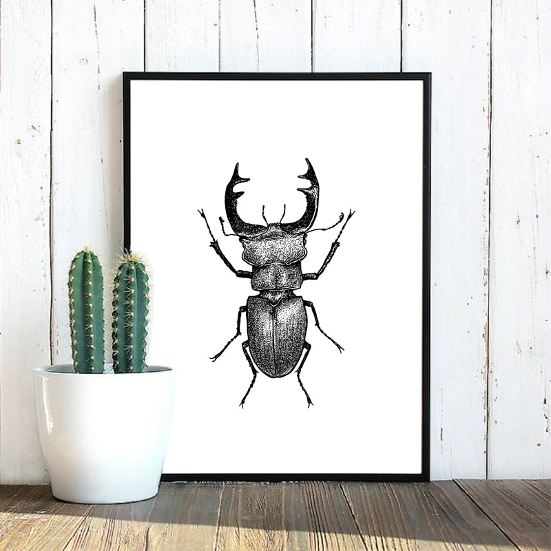 Insect Illustrations | Black And White Wall Art Canvas | Home Decor
