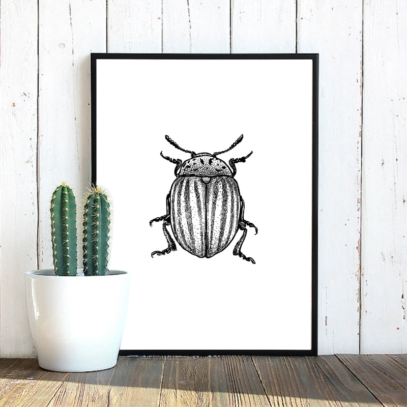 Woodland Animal Room Decor Canvas Wall Art Insects Bugs Illustrations Dragon Fly Bee Beetle Butterfly Black and White Home Decor | Woodland Gatherer | Australian Online Store | Gifts & Treasures | Special Occasions & Everyday Fun | Boho Life | Whimsical Treats | Jewellery | Fashion | Crafting DYI | Stationery | Boho Festival Fashion 