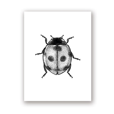 Insect Illustrations | Black And White Wall Art Canvas | Home Decor