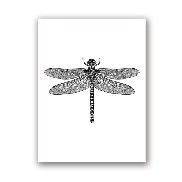Insect Illustrations | Black And White Wall Art Canvas | Home Decor