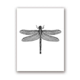 Insect Illustrations | Black And White Wall Art Canvas | Home Decor