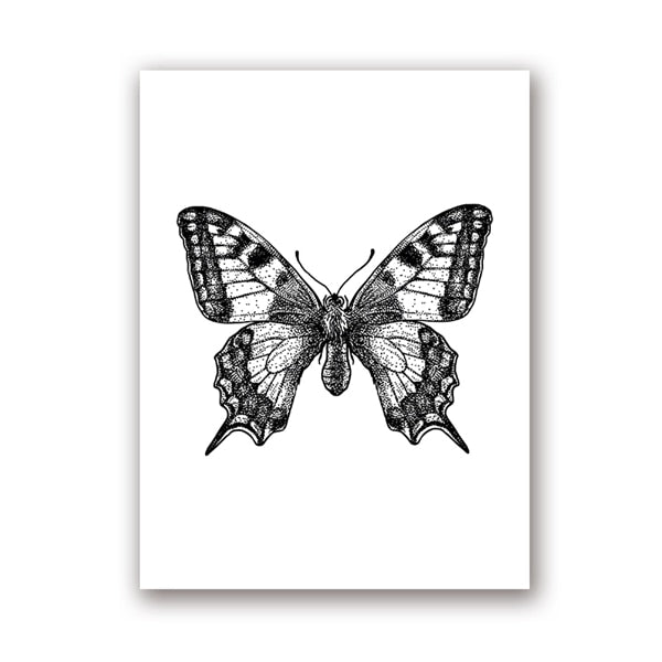 Insect Illustrations | Black And White Wall Art Canvas | Home Decor
