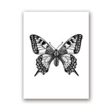 Insect Illustrations | Black And White Wall Art Canvas | Home Decor