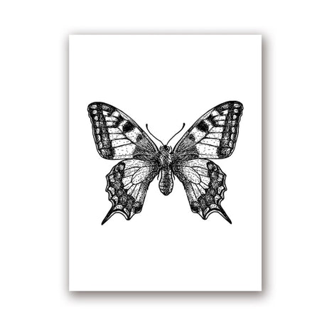 Insect Illustrations | Black And White Wall Art Canvas | Home Decor