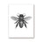 Woodland Animal Room Decor Canvas Wall Art Insects Bugs Illustrations Dragon Fly Bee Beetle Butterfly Black and White Home Decor | Woodland Gatherer | Australian Online Store | Gifts & Treasures | Special Occasions & Everyday Fun | Boho Life | Whimsical Treats | Jewellery | Fashion | Crafting DYI | Stationery | Boho Festival Fashion 