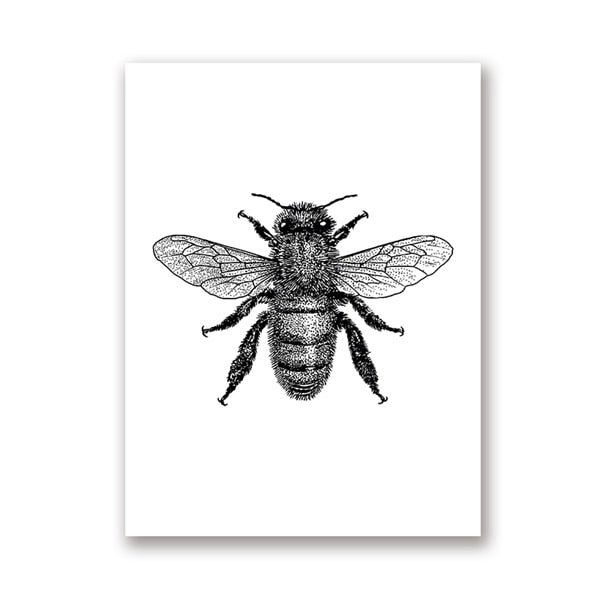 Woodland Animal Room Decor Canvas Wall Art Insects Bugs Illustrations Dragon Fly Bee Beetle Butterfly Black and White Home Decor | Woodland Gatherer | Australian Online Store | Gifts & Treasures | Special Occasions & Everyday Fun | Boho Life | Whimsical Treats | Jewellery | Fashion | Crafting DYI | Stationery | Boho Festival Fashion 