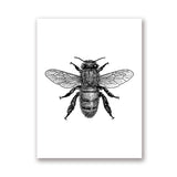 Woodland Animal Room Decor Canvas Wall Art Insects Bugs Illustrations Dragon Fly Bee Beetle Butterfly Black and White Home Decor | Woodland Gatherer | Australian Online Store | Gifts & Treasures | Special Occasions & Everyday Fun | Boho Life | Whimsical Treats | Jewellery | Fashion | Crafting DYI | Stationery | Boho Festival Fashion 