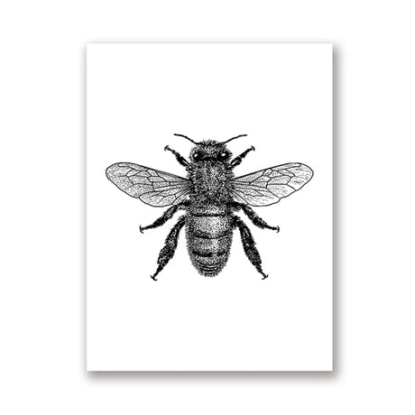 Woodland Animal Room Decor Canvas Wall Art Insects Bugs Illustrations Dragon Fly Bee Beetle Butterfly Black and White Home Decor | Woodland Gatherer | Australian Online Store | Gifts & Treasures | Special Occasions & Everyday Fun | Boho Life | Whimsical Treats | Jewellery | Fashion | Crafting DYI | Stationery | Boho Festival Fashion 