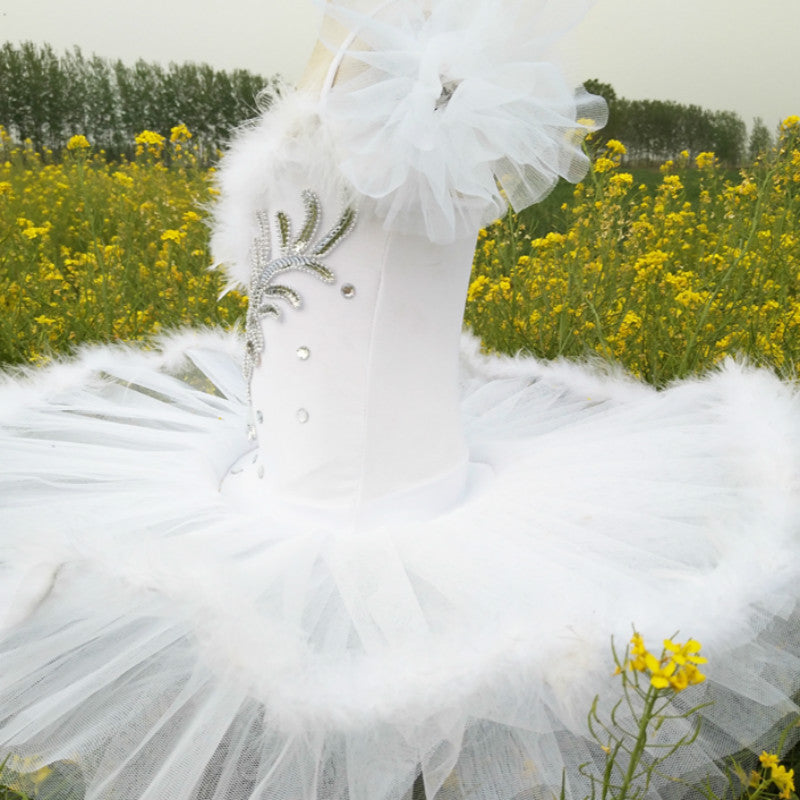 White Swan Lake Ballet Costume