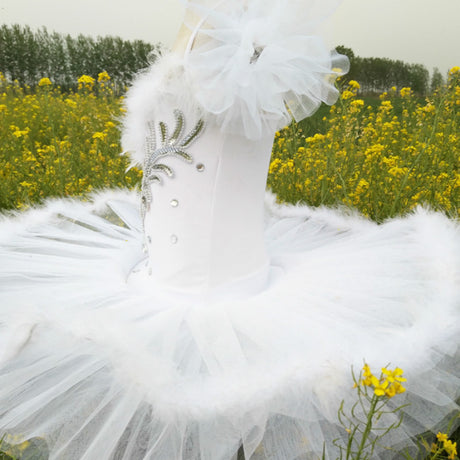 White Swan Lake Ballet Costume