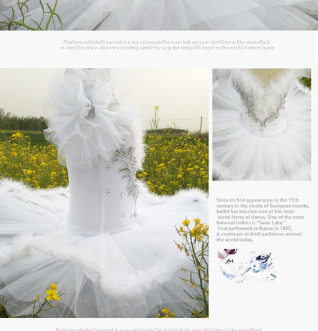 White Swan Lake Ballet Costume
