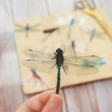 28pcs Dragonflies PVC Stickers