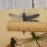 28pcs Dragonflies PVC Stickers