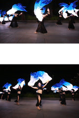 Carnival Led Fan Veils Silk LED Light Bellydance Performance Costumes