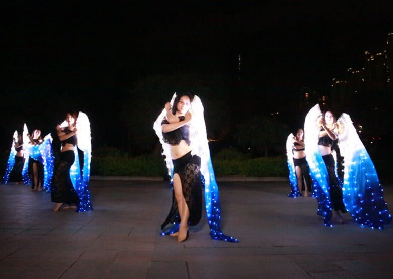 Carnival Led Fan Veils Silk LED Light Bellydance Performance Costumes