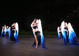Carnival Led Fan Veils Silk LED Light Bellydance Performance Costumes