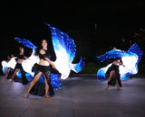 Carnival Led Fan Veils Silk LED Light Bellydance Performance Costumes