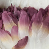 Ten Rose Gradient Goose Feathers | 15-20cm