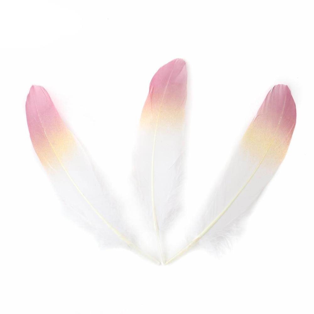 Ten Rose Gradient Goose Feathers | 15-20cm
