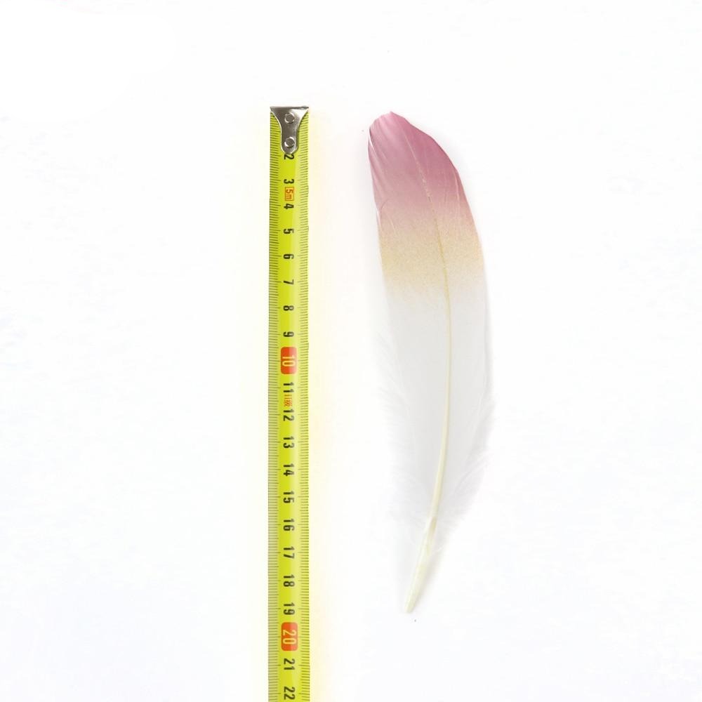 Ten Rose Gradient Goose Feathers 15-20cm
