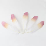 Ten Rose Gradient Goose Feathers 15-20cm