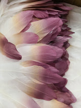 Ten Rose Gradient Goose Feathers 15-20cm