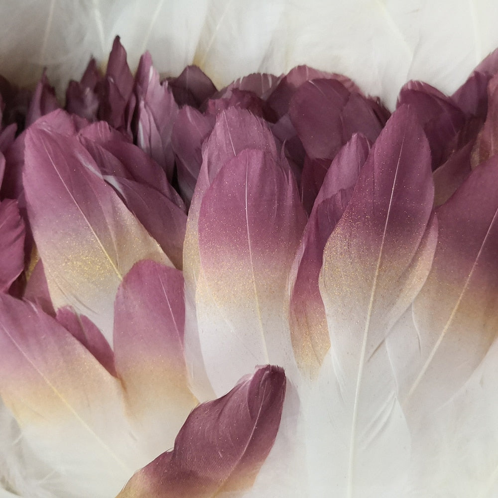 Ten Rose Gradient Goose Feathers 15-20cm