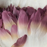 Ten Rose Gradient Goose Feathers 15-20cm