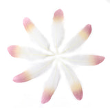 Ten Rose Gradient Goose Feathers 15-20cm